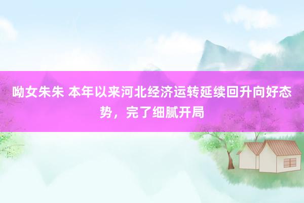 呦女朱朱 本年以来河北经济运转延续回升向好态势，完了细腻开局