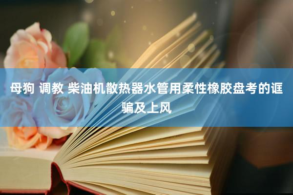 母狗 调教 柴油机散热器水管用柔性橡胶盘考的诓骗及上风
