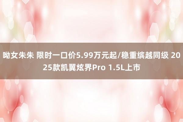 呦女朱朱 限时一口价5.99万元起/稳重缤越同级 2025款凯翼炫界Pro 1.5L上市