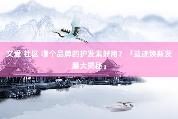 文爱 社区 哪个品牌的护发素好用？「遗迹焕新发膜大揭秘」