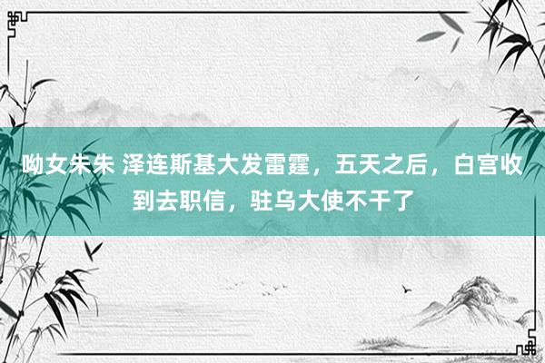 呦女朱朱 泽连斯基大发雷霆，五天之后，白宫收到去职信，驻乌大使不干了