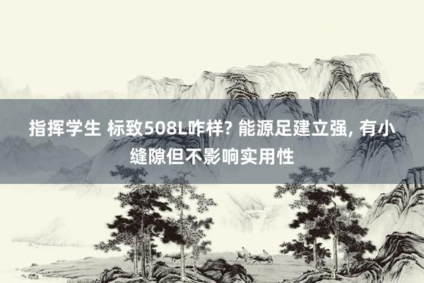 指挥学生 标致508L咋样? 能源足建立强， 有小缝隙但不影响实用性