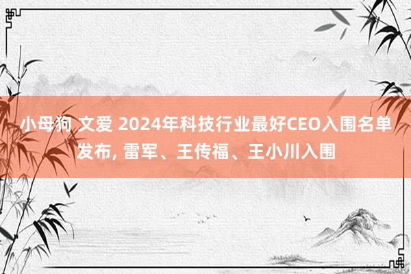 小母狗 文爱 2024年科技行业最好CEO入围名单发布， 雷军、王传福、王小川入围