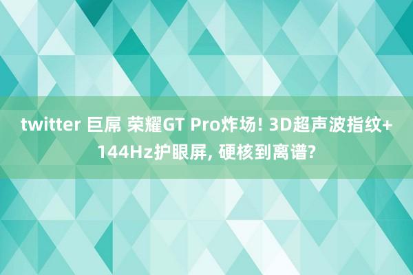 twitter 巨屌 荣耀GT Pro炸场! 3D超声波指纹+144Hz护眼屏， 硬核到离谱?