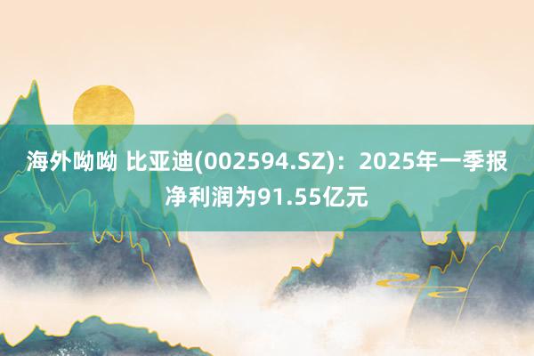 海外呦呦 比亚迪(002594.SZ)：2025年一季报净利润为91.55亿元